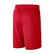 Georgia Nike Dri-fit Shorts